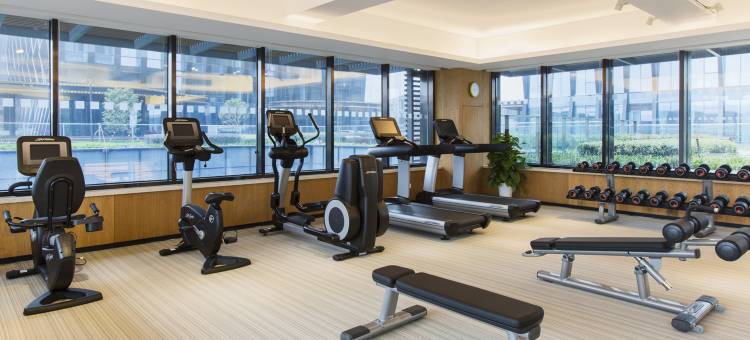 南京上秦淮套房假日酒店图片