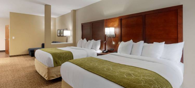 舒适套房酒店(Comfort Suites Greenville South)图片