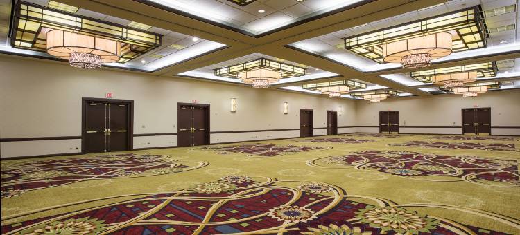 芝加哥奥黑尔罗斯蒙特希尔顿安泊酒店(Embassy Suites by Hilton Chicago O'Hare Rosemont)图片