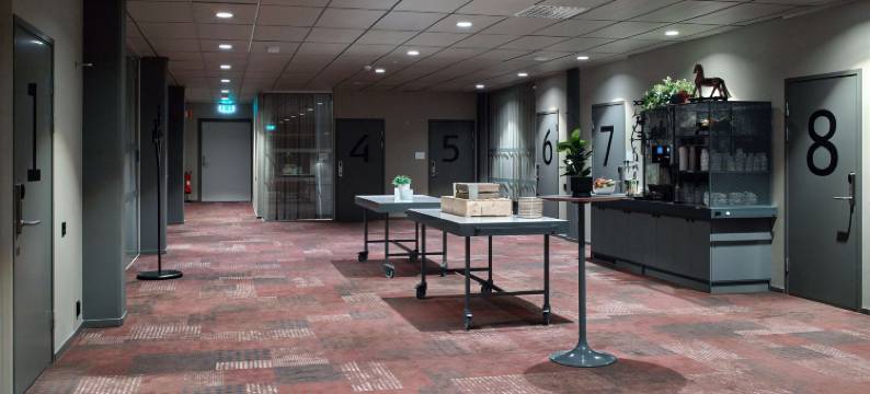 斯堪迪克伯兰格酒店(Scandic Borlänge)图片