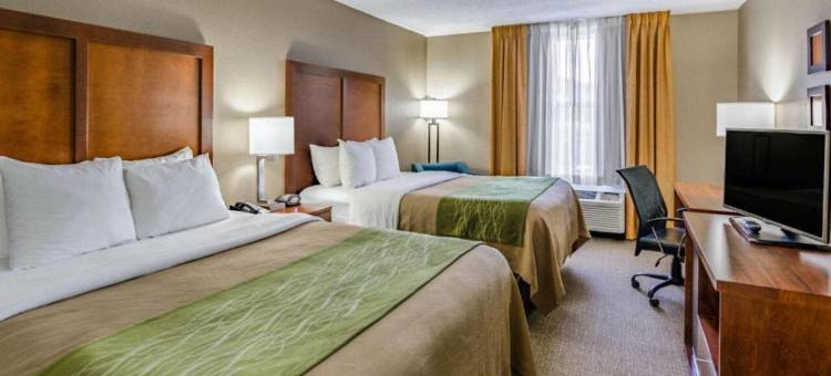 舒适套房酒店(Comfort Inn & Suites)图片