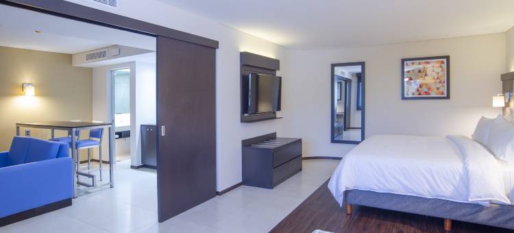 萨米尔广场智选假日酒店(Holiday Inn Express - Mexico Basilica)图片