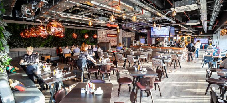 贝辛斯托克村庄酒店(Village Hotel Basingstoke)图片