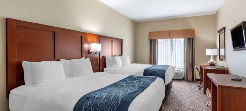 卡尔德本大学区舒适套房酒店(Comfort Inn & Suites Carbondale University Area)图片