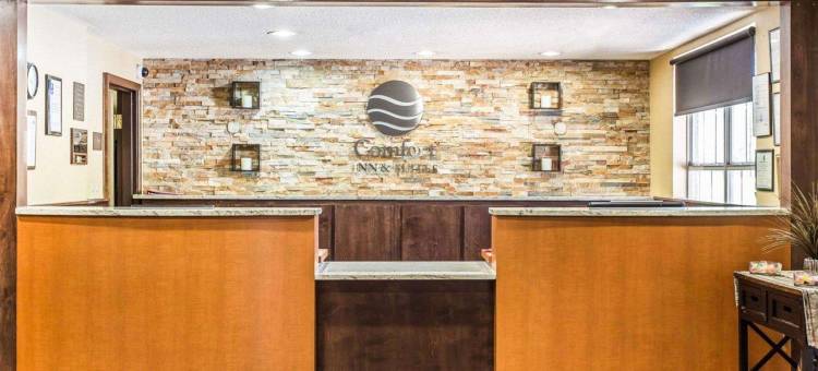 棒球场区舒适套房酒店(Comfort Inn & Suites Ballpark Area)图片