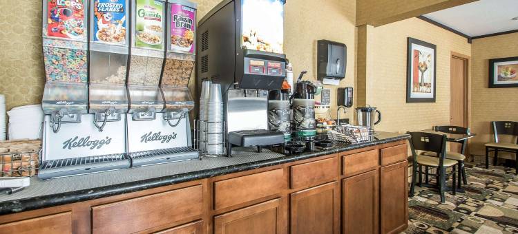 迪科拉凯艺套房酒店(Quality Inn & Suites Decorah)图片