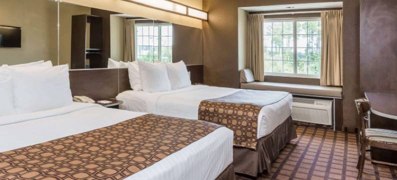 杰克逊维尔机场麦客达温德姆酒店及套房(Microtel Inn & Suites by Wyndham Jacksonville Airport)图片