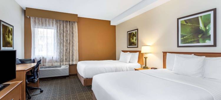 奥兰多南拉昆塔温德姆套房酒店(La Quinta Inn & Suites by Wyndham Orlando South)图片