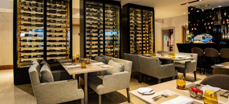 布宜诺斯艾利斯格兰德布里佐酒店(Hotel Grand Brizo Buenos Aires)图片