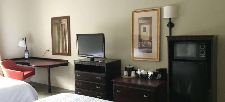 希尔顿欢朋酒店-维达利亚(Hampton Inn Vidalia)图片