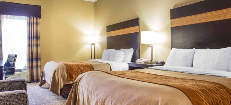 斯通山舒适套房酒店(Comfort Inn & Suites at Stone Mountain)图片