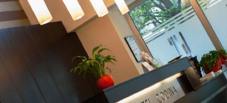 塞尔科特尔科迪纳酒店(Sercotel Codina)图片