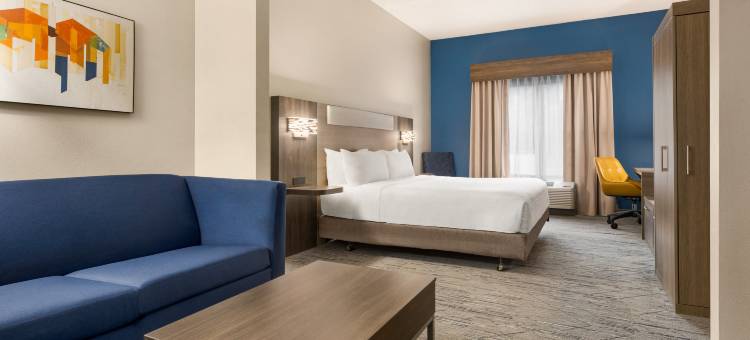 智选假日套房酒店嘉言- DOWNTOWN(Holiday Inn Express & Suites GREENVILLE-DOWNTOWN by IHG)图片