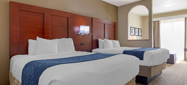 舒适套房酒店-盖恩斯维尔(Comfort Suites Gainesville)图片