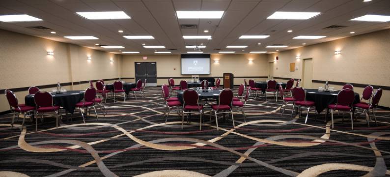 维多利亚酒店及布兰顿会议中心(Victoria Inn Hotel & Convention Centre Brandon)图片