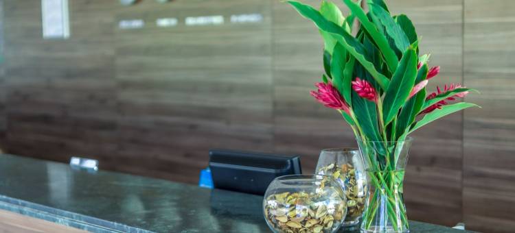 卡木布斯酒店(Cambuci Hotel)图片