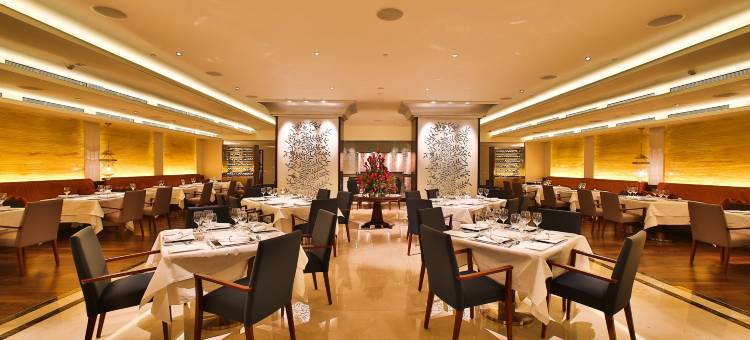 新加坡乌节市中心假日酒店 - IHG 旗下酒店(Holiday Inn Singapore Orchard City Centre)图片