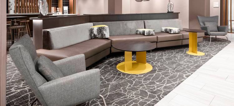 SpringHill Suites Charlotte Airport Lake Pointe图片