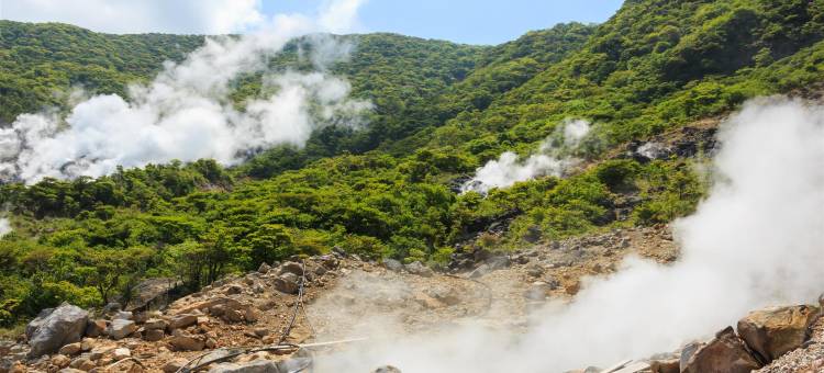 凯悦箱根温泉度假村及水疗中心(Hyatt Regency Hakone Resort and Spa)图片