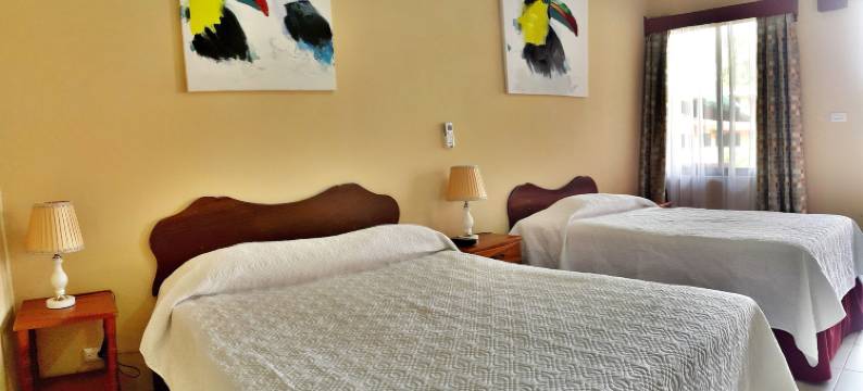 迪威撒马纳奥米酒店 - LHR(Hotel Divisamar by LHR)图片