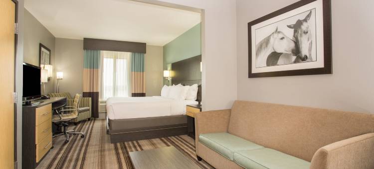 智选假日套房酒店阿马里洛(西)(Holiday Inn Express & Suites Amarillo West)图片
