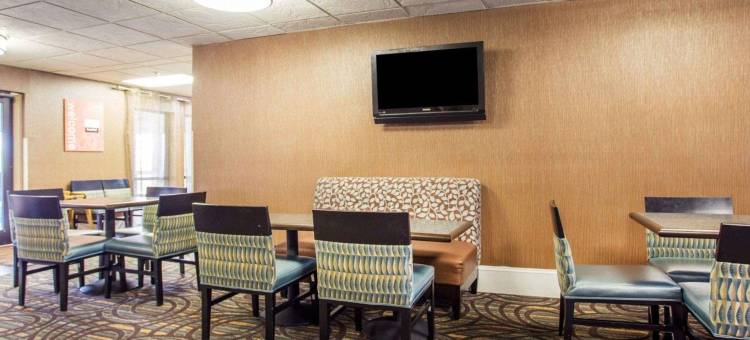 斯通山舒适套房酒店(Comfort Inn & Suites at Stone Mountain)图片