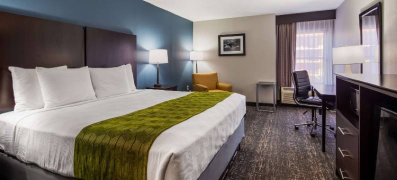 岩石丘贝斯特韦斯特酒店(Best Western Rock Hill)图片