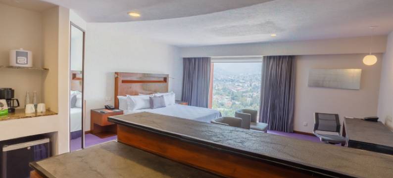 佩德雷加尔卡米诺里尔酒店(Camino Real Pedregal Mexico)图片