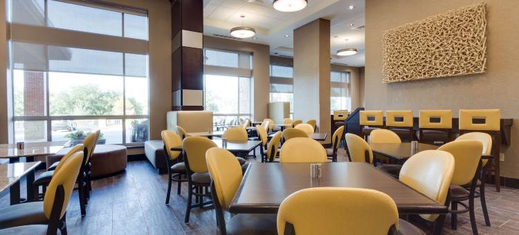 达拉斯-弗赖拉辛德鲁里套房酒店(Drury Inn & Suites Dallas Frisco)图片