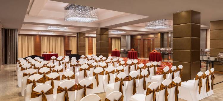 齐普尔市中心丽筠酒店(Radisson Jaipur City Center)图片