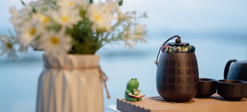 醉美湖居水云间公寓(揽月路分店)图片