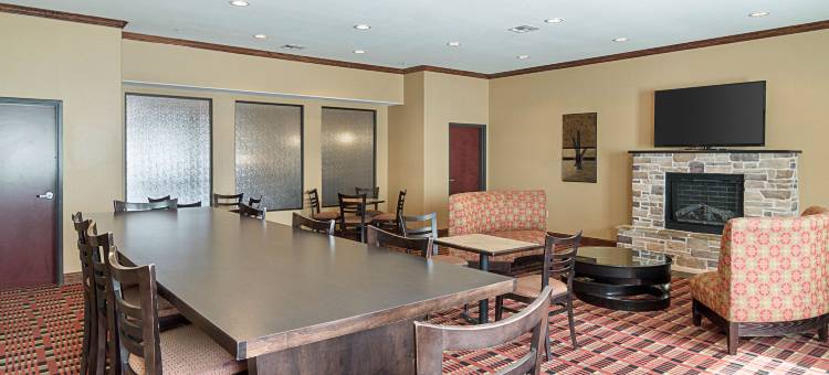 蒙那汉斯 I-20 舒适套房酒店(Comfort Inn & Suites Monahans I-20)图片