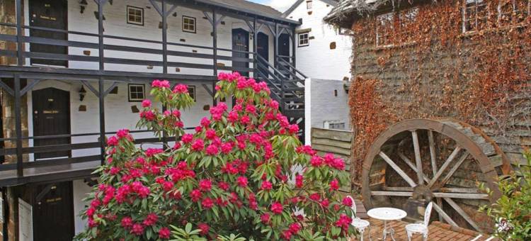 皮尼皇家休闲旅馆(Leisure Inn Penny Royal Hotel & Apartments)图片