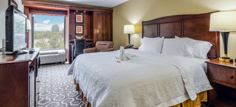 坦帕国际机场/西岸欢朋酒店(Hampton Inn Tampa-Airport/Westshore)图片