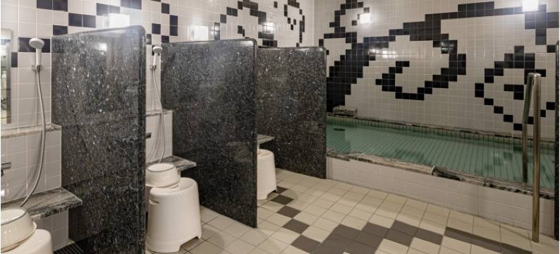 神户三宫人工温泉二股汤之华格林里奇酒店(Green Rich Hotel Kobe Sannomiya (Artificial Hot Spring Futamata Yunohana))图片