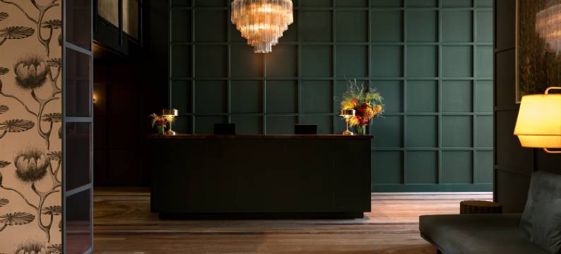 The Aster(阿斯特)(The Aster)图片