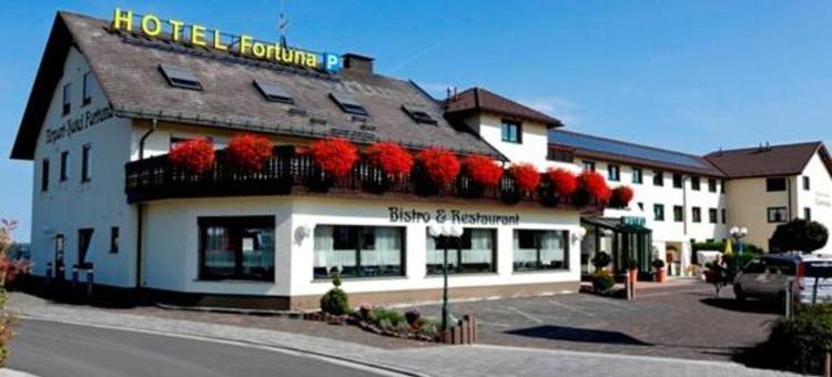 弗杜那机场酒店(Airport-Hotel Fortuna)图片