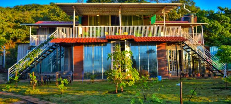 森林民宿别墅(ForRest Homestay Villa)图片