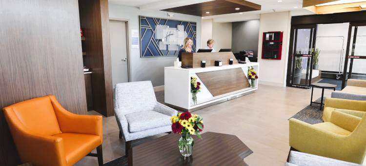 Holiday Inn Express 底特律伯明翰(Holiday Inn Express Detroit-Birmingham)图片