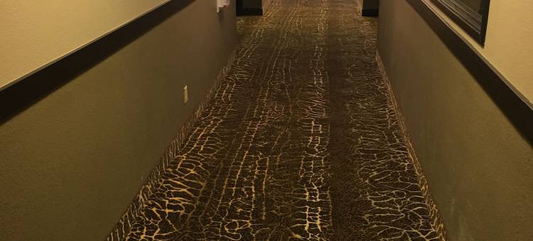 奥尼尔温德姆速8酒店(Super 8 by Wyndham O'Neill NE)图片