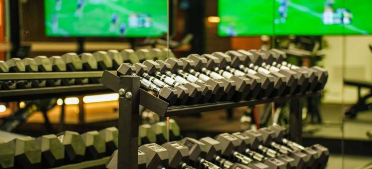 Peppers Gladstone图片