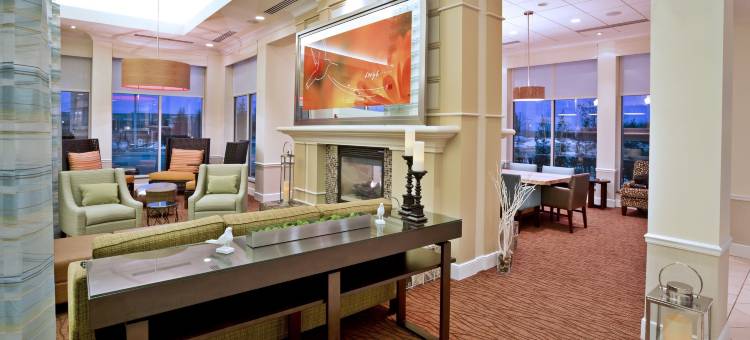 底特律诺维希尔顿花园客栈(HIlton Garden Inn Detroit/Novi)图片