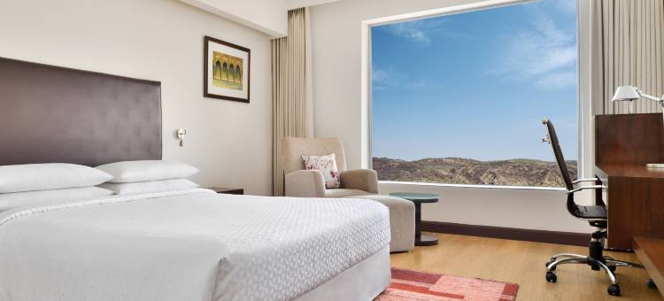 齐普尔市广场福朋喜来登酒店(Four Points by Sheraton Jaipur, City Square)图片