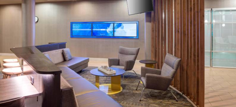 盐湖城机场SpringHill Suites酒店(SpringHill Suites Salt Lake City Airport)图片