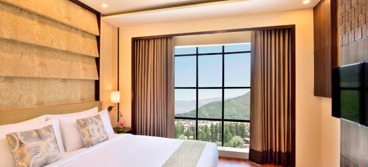 斯里纳格福朋喜来登酒店(Four Points by Sheraton Srinagar)图片
