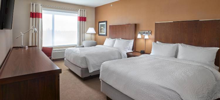 西埃德蒙顿福朋喜来登酒店(Four Points by Sheraton Edmonton West)图片