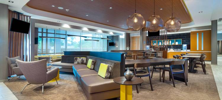 北查尔斯顿万豪SpringHill套房酒店(SpringHill Suites Charleston Airport & Convention Center)图片