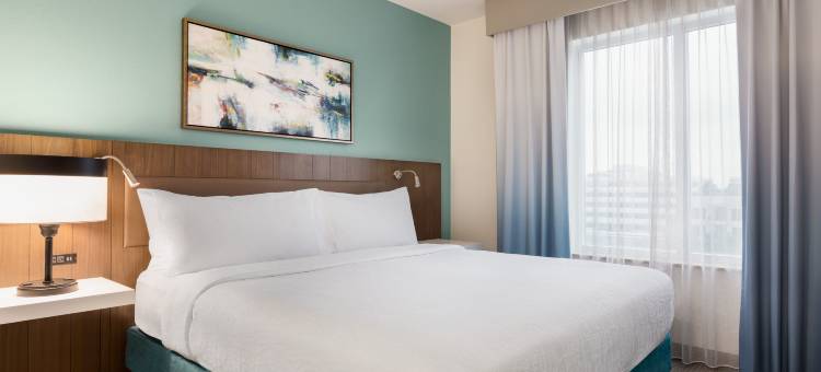 休斯顿能源走廊希尔顿花园酒店(Hilton Garden Inn Houston Energy Corridor)图片