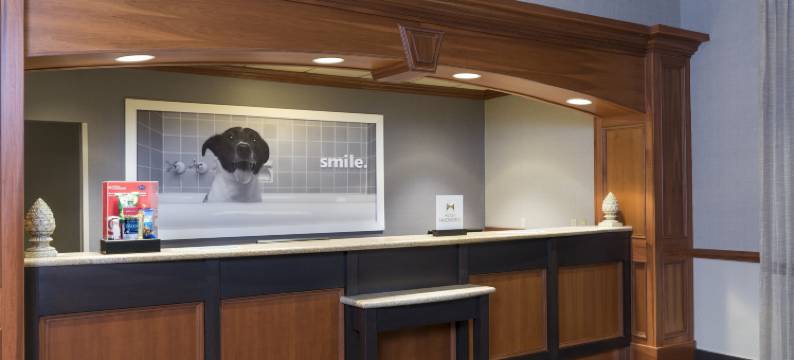 兰辛东欢朋酒店及套房(Hampton Inn & Suites East Lansing/Okemos)图片