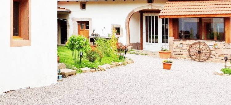 renovated farmhouse for groups and families in nature, dogs welcome, playground图片